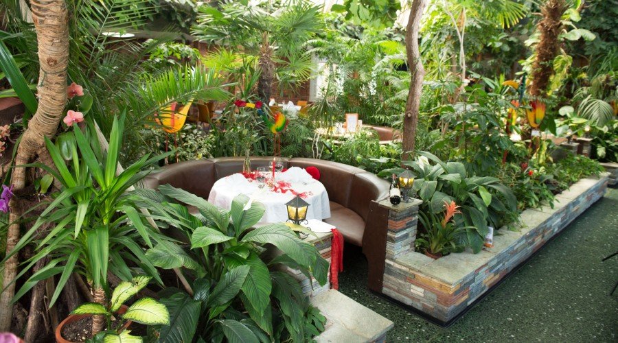 Tropenpflanzen Restaurant Florida, Studen